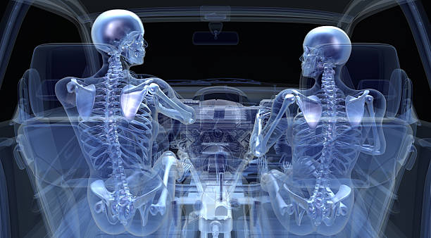 istock Two Woman skeletons in a car 176893185