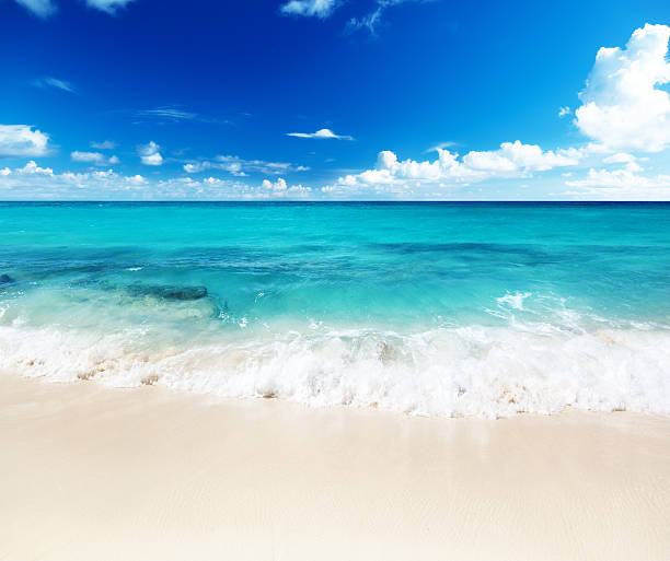 istock beach on Catalina island Dominican republic 176893214