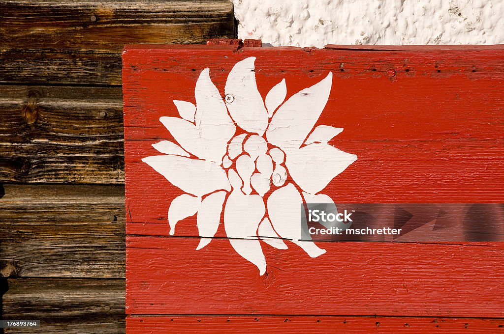 Stella alpina - Foto stock royalty-free di Legno