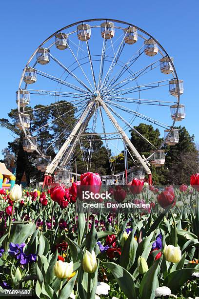 Floriade キャンベラ観覧車 - キャンベラのストックフォトや画像を多数ご用意 - キャンベラ, パフォーマンス, ガーデニング