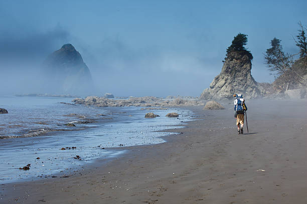 istock Hiker exploring a foggy beach with sea stack in view 176894744