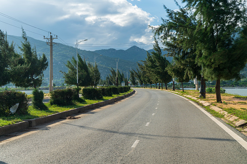 Leaning tree line because of strong  wind on coastal road of Ninh Thuan - Ca Na district, Ninh Thuan province, central Vietnam