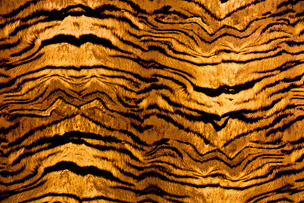 Safari Animal Skin pattern textured background