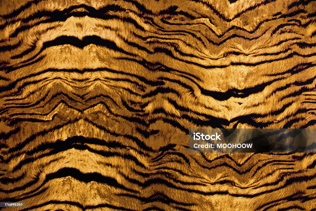 Safari Animal Skin pattern textured background Safari animal skin hi-resolution texture Tiger Print Stock Photo