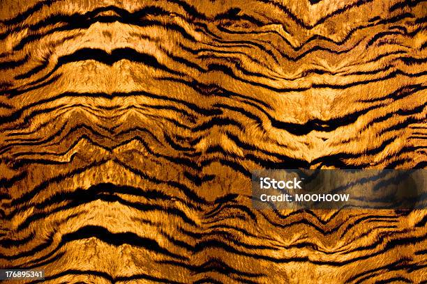 Safari Animal Skin Pattern Textured Background Stock Photo - Download Image Now - Tiger Print, Backgrounds, Tiger