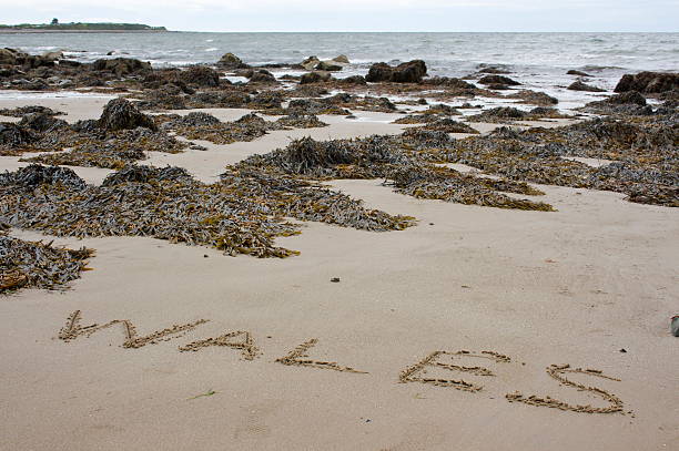 istock Wales in the sand 176895460