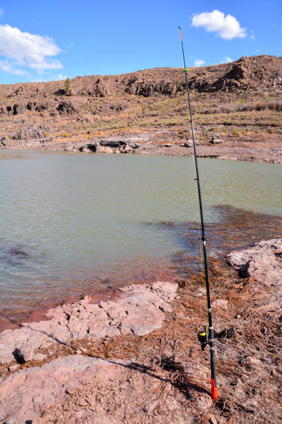 istock Fishing with rod on lake 1768958148