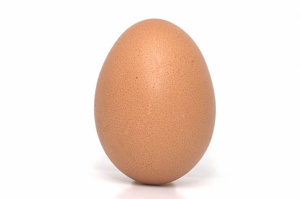 One Egg Standing stock photo