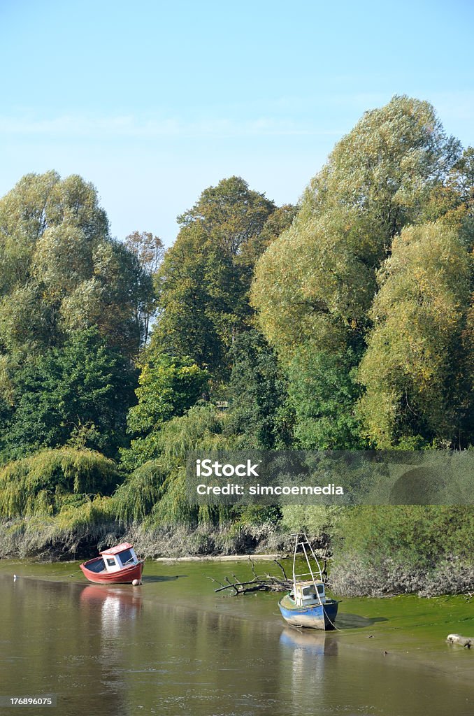 Bateaux près de rive de Chester - Photo de Arbre libre de droits