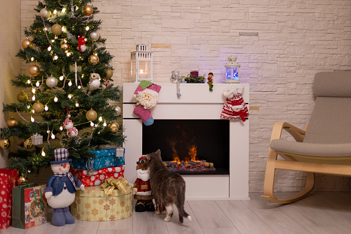 Украшенная елка, подарки в коробках, кошка стоит у горящего камина. Праздники Новый год и Рождество. Выборочная фокусировка.