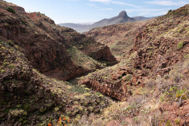 Barranco de las Vacas and Roque Aguayro, in Gran Canaria, on Canary Islands of Spain Spain: view on the Barranco de las Vacas (ravine of the cows), that lays among the hills of the Aguimes province in Gran Canaria, on the Canary Islands. In the background, Roque Aguayro, a natural rock formation that is Natural Monument. barron gorge national park stock pictures, royalty-free photos & images