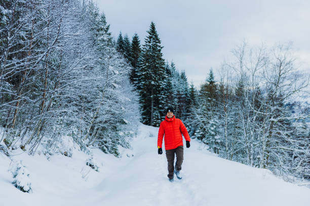 istock Happy Man Admiring Winter Outdoors Hiking in Mountain Forest through Deep Snow 1768968755