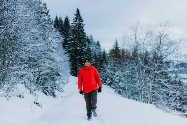 istock Happy Man Admiring Winter Outdoors Hiking in Mountain Forest through Deep Snow 1768969352