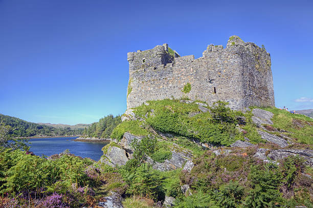istock Castle Tioram above the lake 176897492
