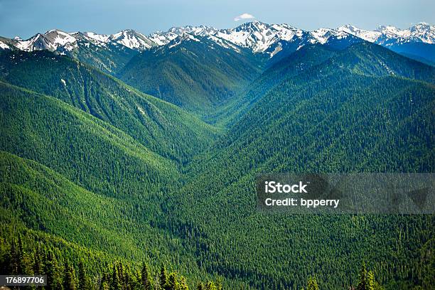 緑の谷雪山 Hurricane Ridge オリンピック国立公園ワシントン - オリンピック国立公園のストックフォトや画像を多数ご用意 - オリンピック国立公園, オリンピック山脈, ワシントン州