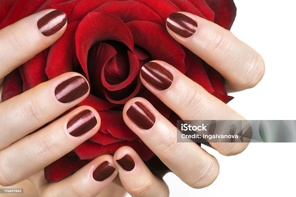 Mujer manos con rosas rojas - Foto de stock de Adulto libre de derechos