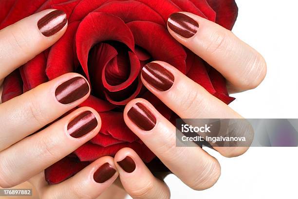 Mujer Manos Con Rosas Rojas Foto de stock y más banco de imágenes de Adulto - Adulto, Agarrar, Belleza