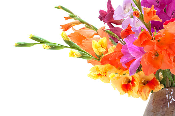 istock bouquet of colored gladioli 176897923