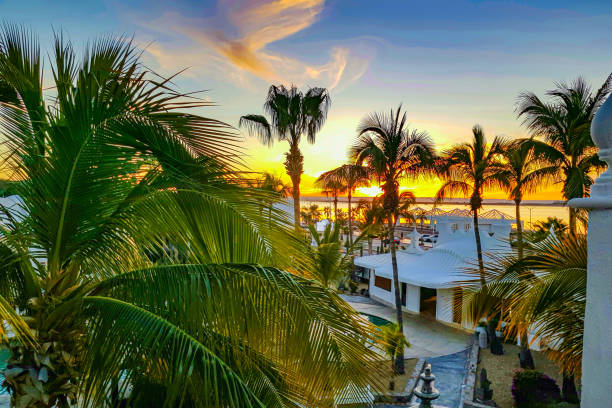 istock Coastal sunset seen from a terrace, palm trees against reddish blue and orange sky 1768984943