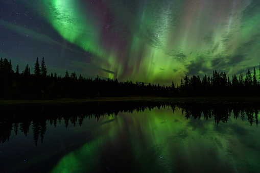 Northern light, aurora borealis, reflecting in small lake in forest, in autumn time, Gällivare, Swedish Lapland, Sweden