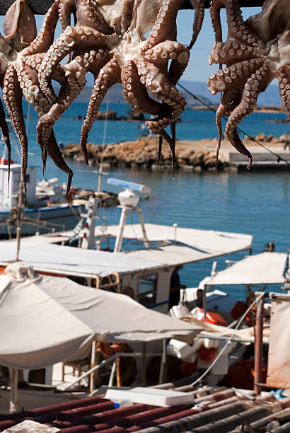 istock Octupuses and fishingboats 176900539