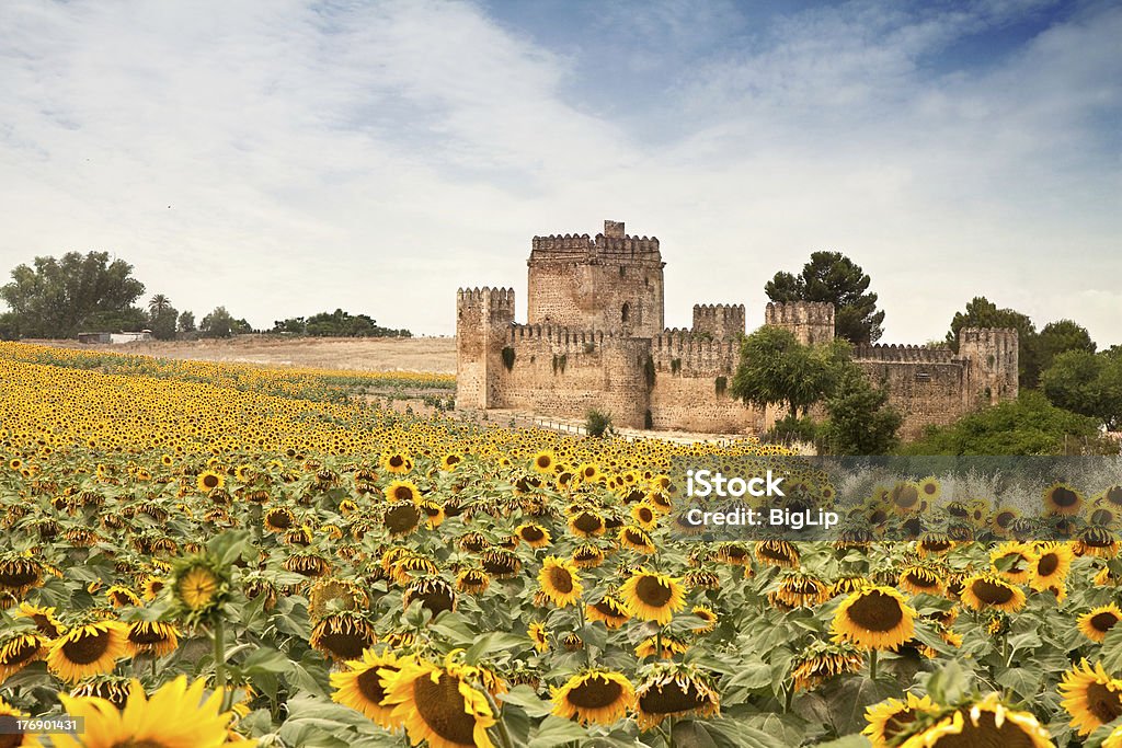 Spanischen Schlosses mit Sonne Blumen - Lizenzfrei Sonnenblume Stock-Foto