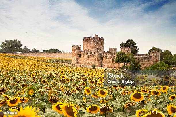 Spanischen Schlosses Mit Sonne Blumen Stockfoto und mehr Bilder von Sonnenblume - Sonnenblume, Schlossgebäude, Andalusien