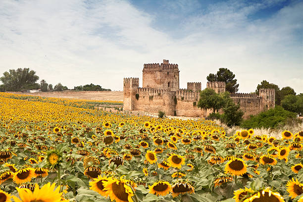 istock Spanish Castle with Sun Flowers 176901431