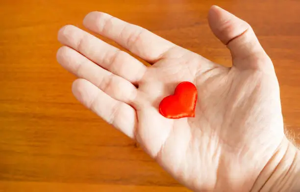 Person hold a Red Heart in the Palm closeup
