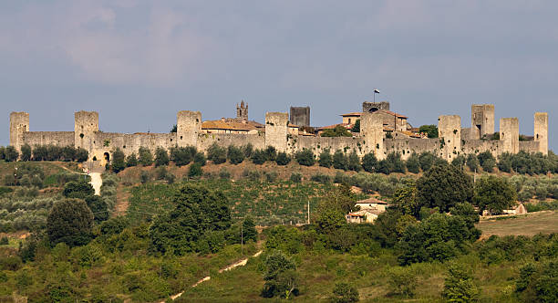 istock Panorama of Fortress Monteriggioni 176901783