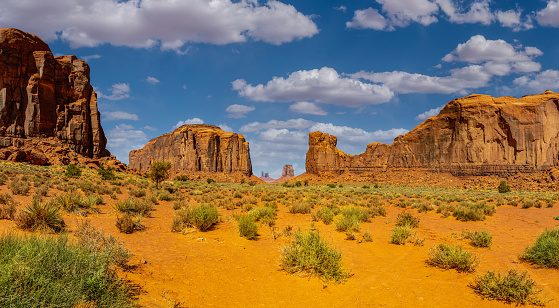 Tree rises from dry streambed with two colorful sandstone buttes in background within the western side canyon in Valley of the Gods.
