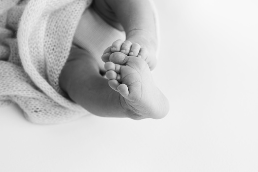 The tiny foot of a newborn baby. Soft feet of a new born in a wool blanket. Close up of toes, heels and feet of a newborn. Macro photography. Black and white