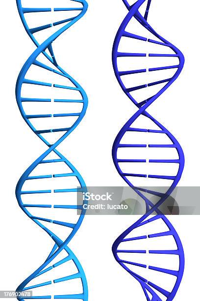 Голубой Основе — стоковые фотографии и другие картинки Белый фон - Белый фон, Винтовая поверхность, Дезоксирибонуклеиновая кислота