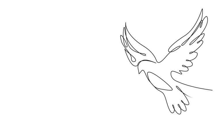 animated single line drawing of a dove