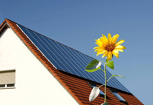 istock Solar cells on a roof behind sun flower 176903328