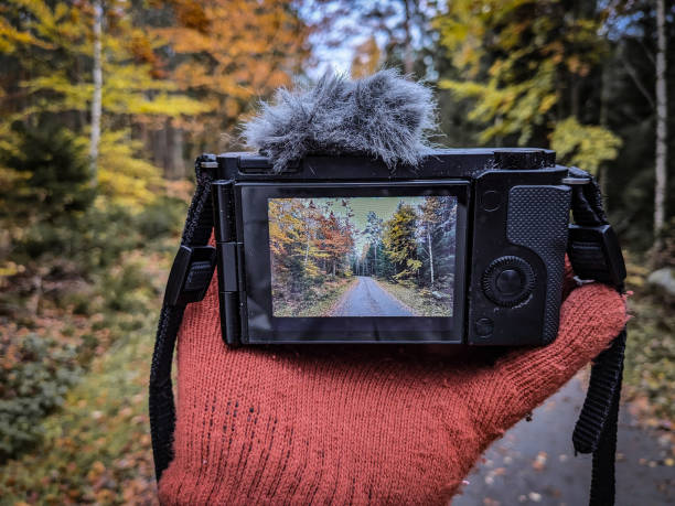 retro photo. Young woman taking pictures in the autumn park. Concept girl photographer
