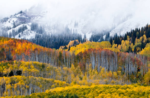 Kebler Pass in Autumn, Colorado, USA