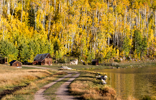 Amazing Fall Time in Colorful Colorado. Aspen Trees, Mountains and lake