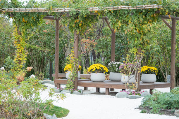 istock asian style flowerbeds with daisies 1769040229