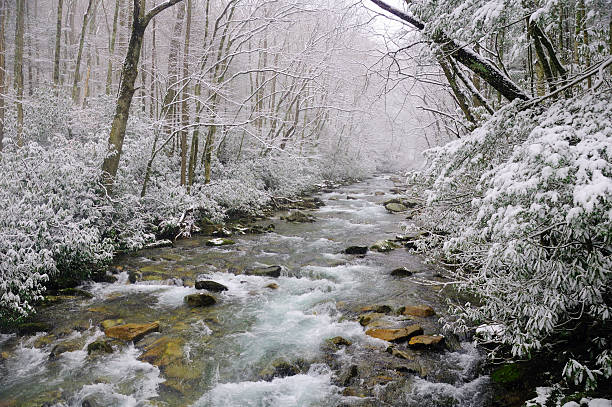 istock Spring snow in the smokies 176904088