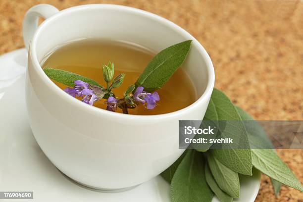 Teacup With Herbal Sage Tea Salvia Officinalis Stock Photo - Download Image Now - Alternative Medicine, Antioxidant, Beauty