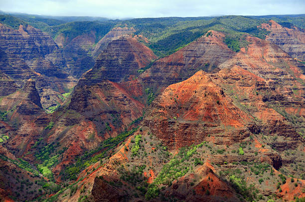 istock Waimea Canyon in Hawaii 176904818
