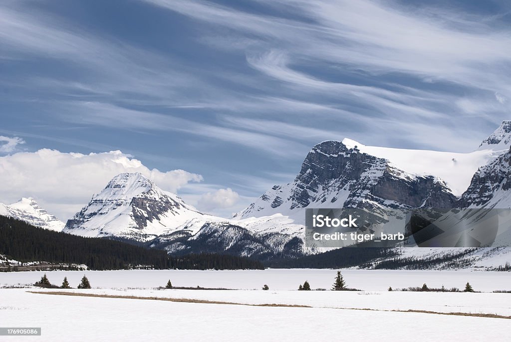 Paysage d'hiver avec des Rocheuses canadiennes, Parc National Banff, Alberta, Canada - Photo de Alberta libre de droits