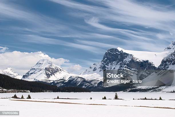 Зимний Пейзаж В Канадских Скалистых Гор Национальный Парк Банф Альберта Канада — стоковые фотографии и другие картинки Bow Glacier