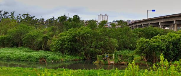 istock panoramic image of the tiete river, meandering through its floodplain at the intersection with the Mario Covas ring road. 1769052126
