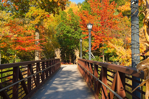 A footbridge over a narrow portion of Coe Lake in Berea, Ohio, leading to autumn colors. The railings are adorned with padlocks, signifying romantic attachments.