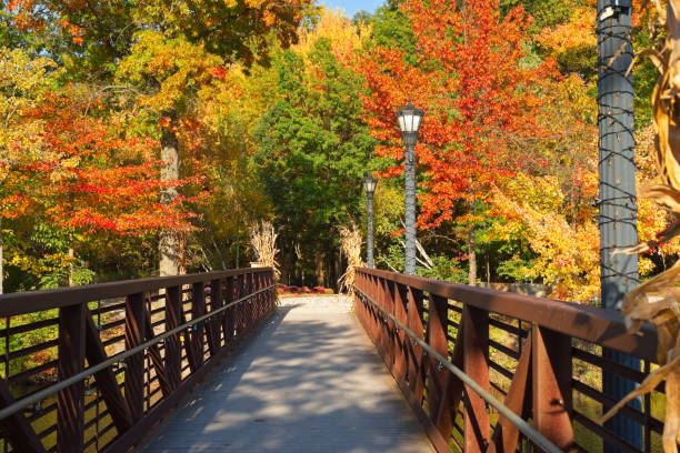 Bridge to autumn stock photo