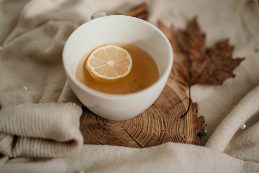 Cup of tea with lemon slices and cinnamon sticks behind.