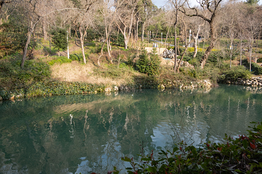 Nice photos of a lake in Yldz Park in Istanbul, Marmara region, Turkey