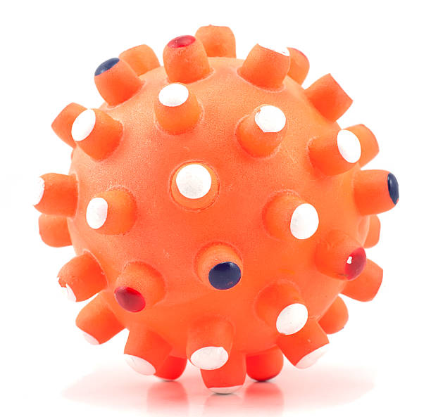 istock Dog toy (ball) isolated on white background 176906673